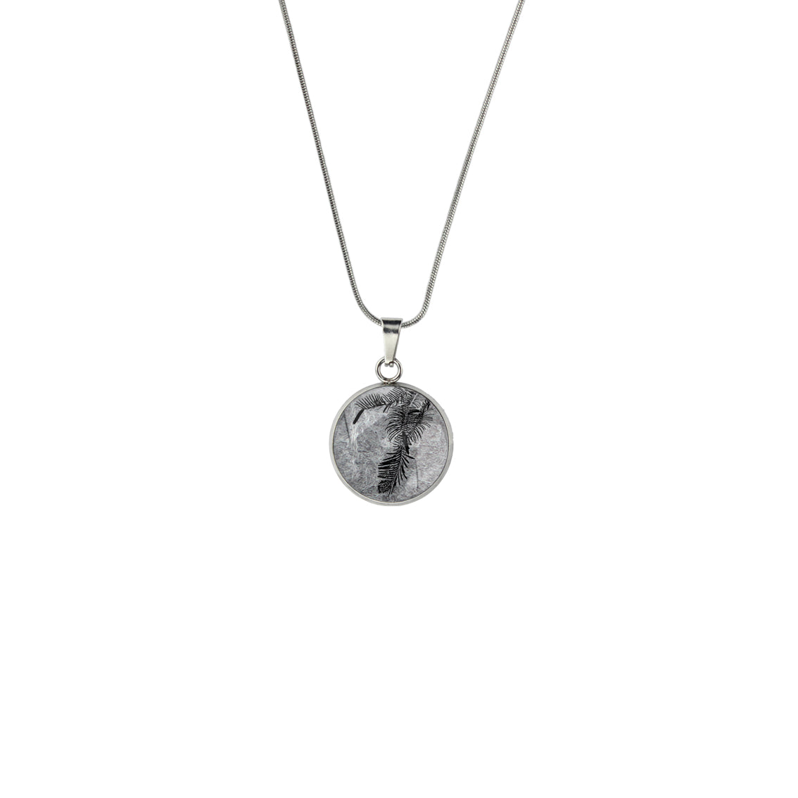 AUSTRALIAN NATIVE FLORA - WOLLEMI PINE XS CIRCLE PENDANT ON A CHAIN NECKLACE - D937S - on Satchel