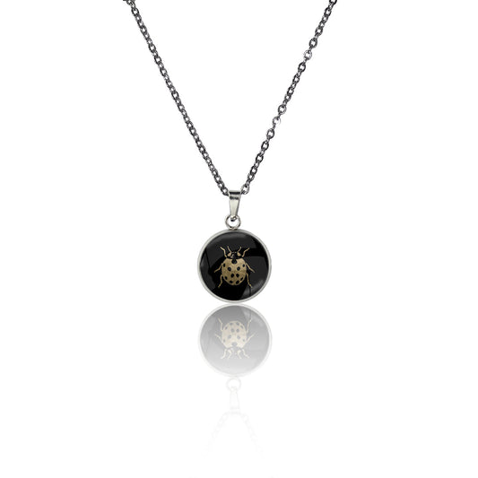 CARD AND YOUR FAVORITE INSECTS GIFT SET - MAG003